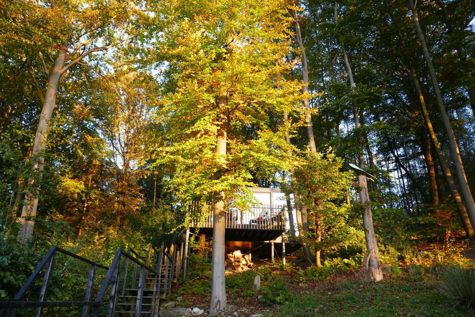 Gite Des Bois De Спа Экстерьер фото