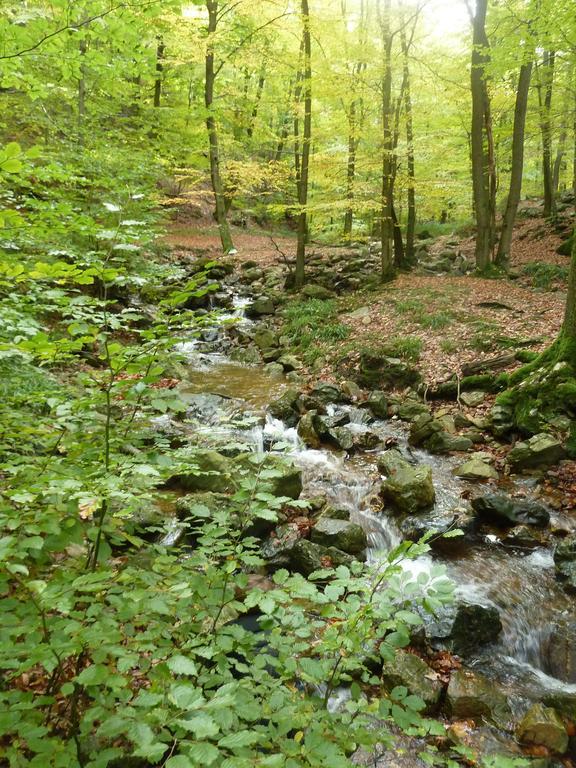 Gite Des Bois De Спа Экстерьер фото
