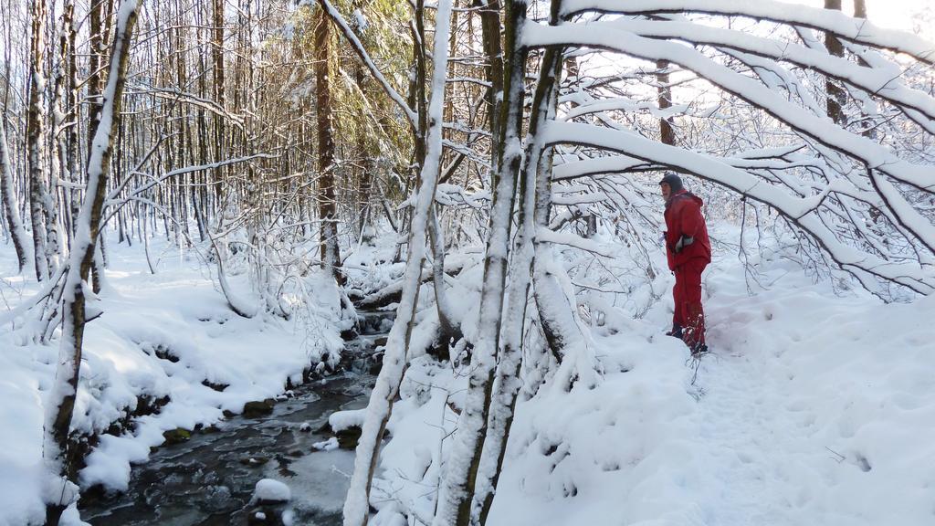 Gite Des Bois De Спа Экстерьер фото